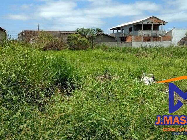 #230 - Terreno para Venda em Ilha Comprida - SP - 3