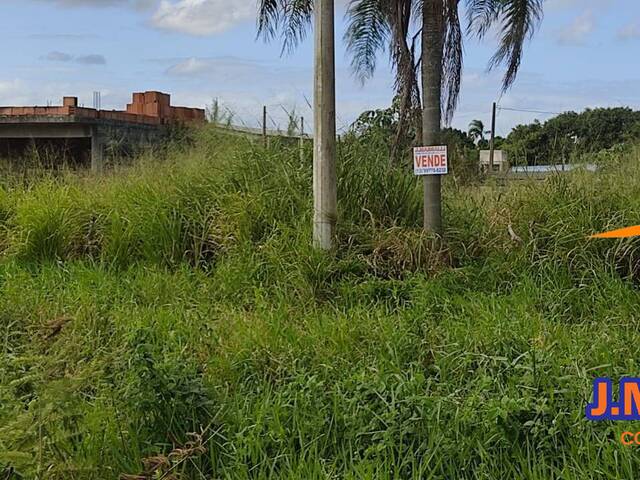 Venda em Balneário Britânia  - Ilha Comprida