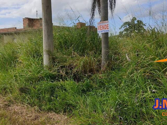 #310 - Terreno para Venda em Ilha Comprida - SP - 2