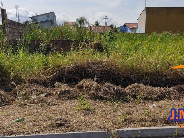 #316 - Terreno para Venda em Ilha Comprida - SP - 3