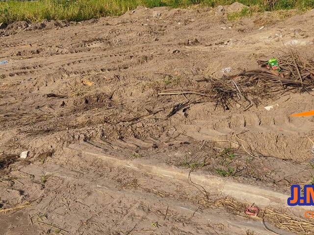 #329 - Terreno para Venda em Ilha Comprida - SP - 2