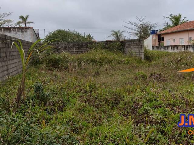 #349 - Terreno para Venda em Ilha Comprida - SP - 3