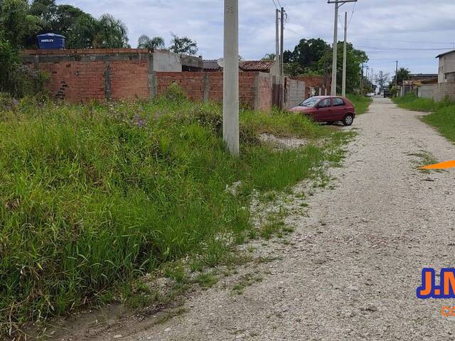 #360 - Área para Venda em Ilha Comprida - SP - 3