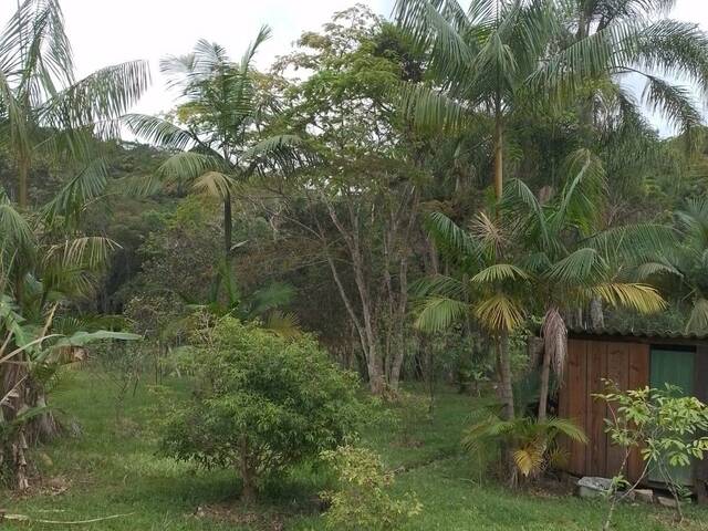 #420 - Chácara para Venda em Pariquera-Açu - SP