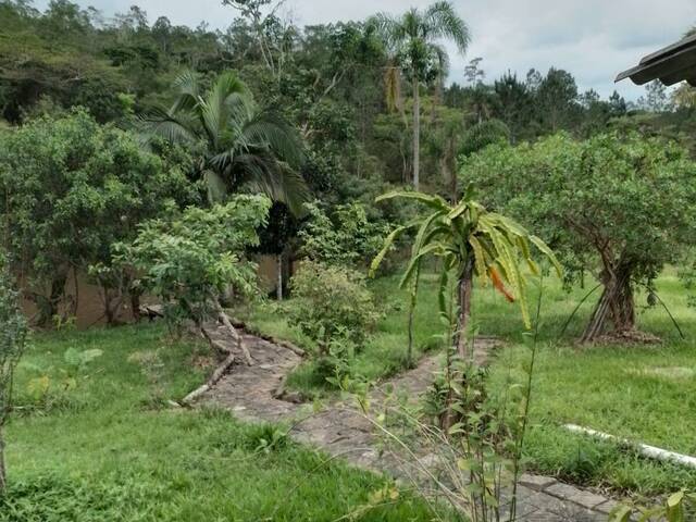 #420 - Chácara para Venda em Pariquera-Açu - SP