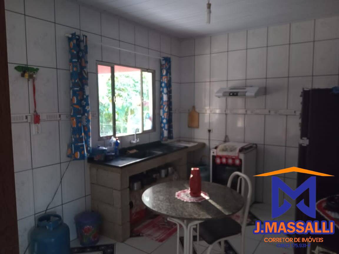 Fazenda à venda com 2 quartos, 300m² - Foto 4