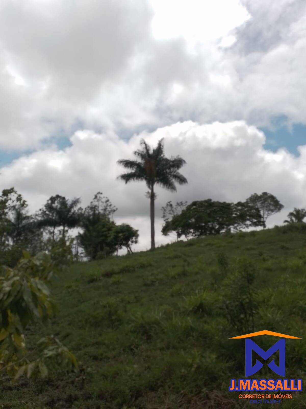 Fazenda à venda com 2 quartos, 10m² - Foto 5