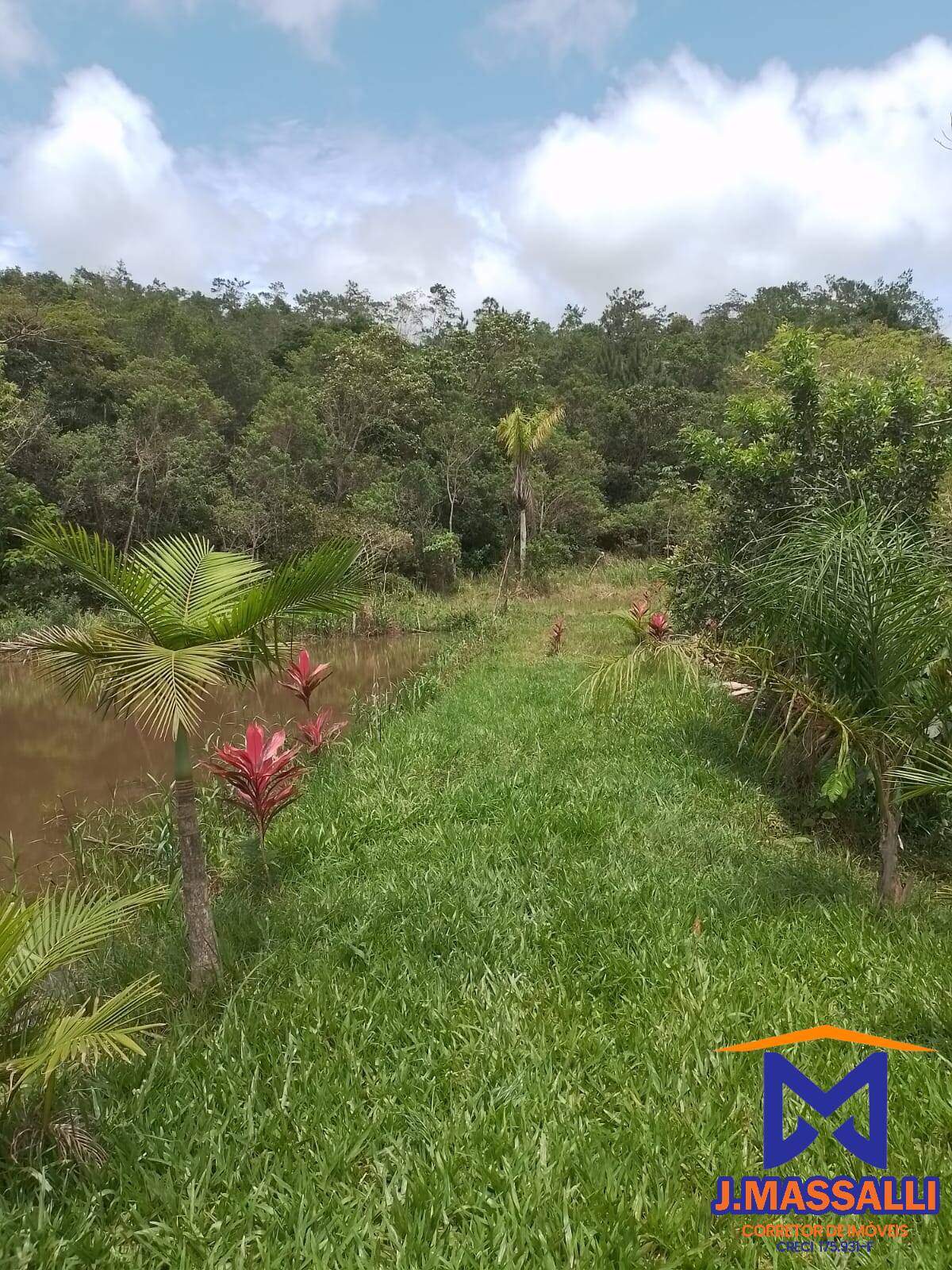 Fazenda à venda com 2 quartos, 10m² - Foto 12