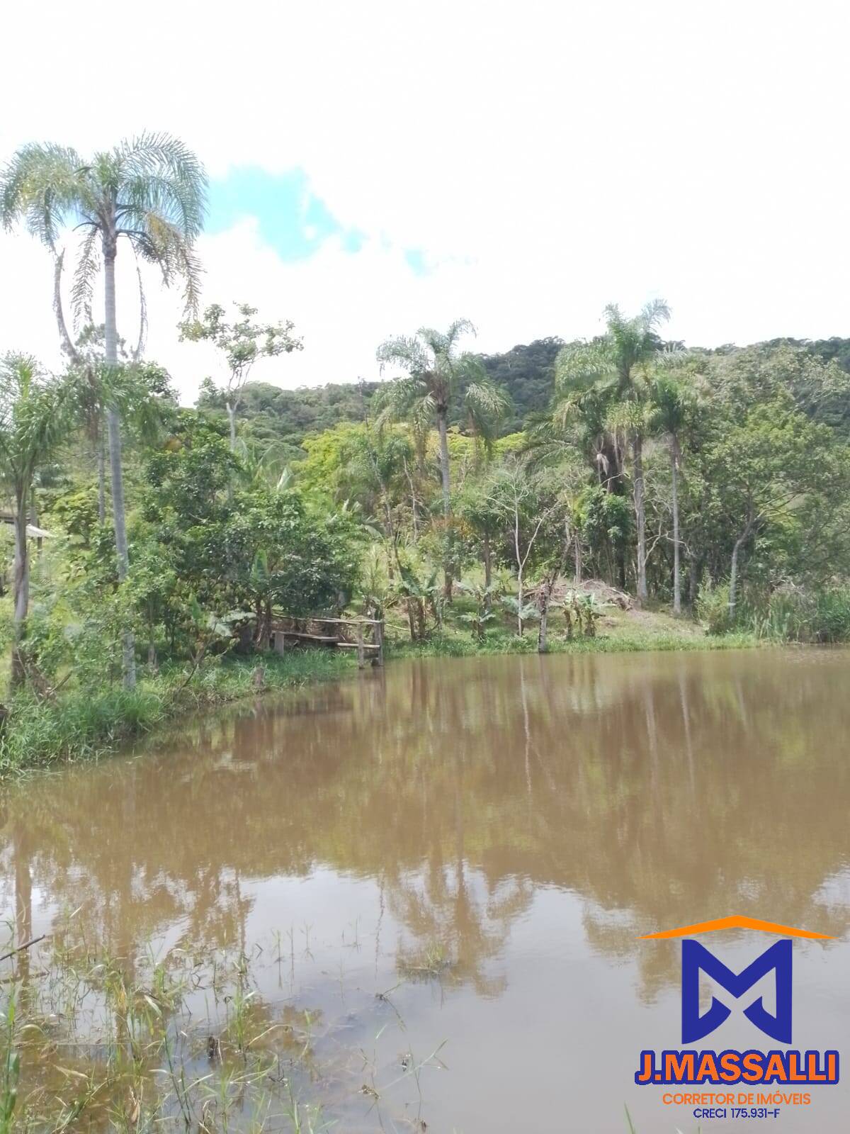 Fazenda à venda com 2 quartos, 10m² - Foto 9