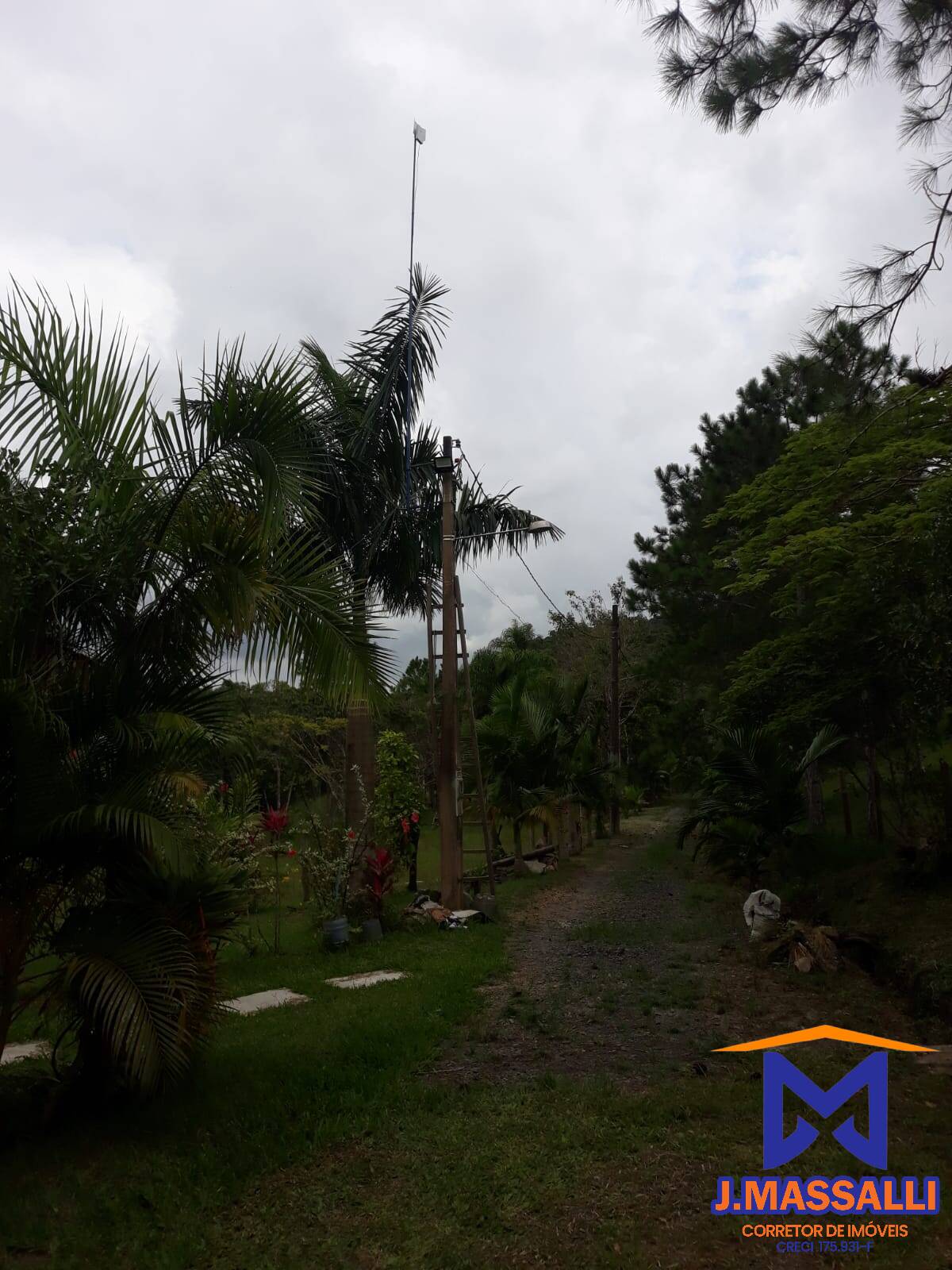 Fazenda à venda com 2 quartos, 10m² - Foto 30