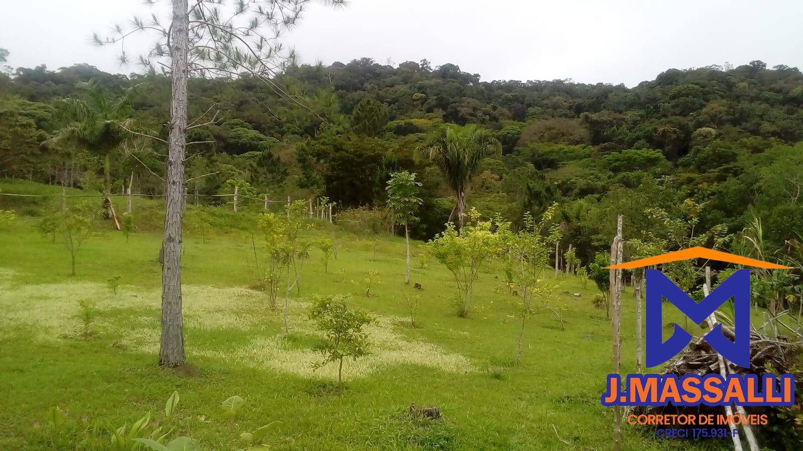 Fazenda à venda com 2 quartos, 10m² - Foto 42